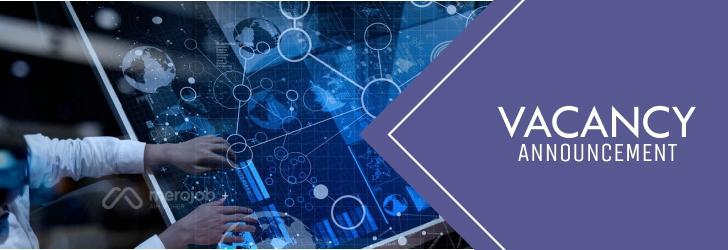 Social Media Executive