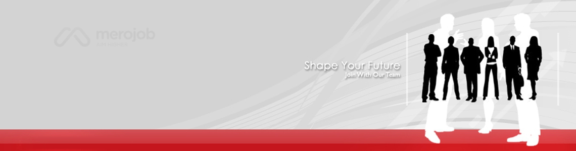 Graphic and Layout Designer