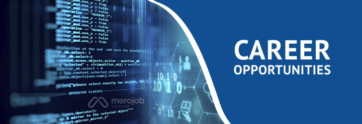 Remote iOS Developer