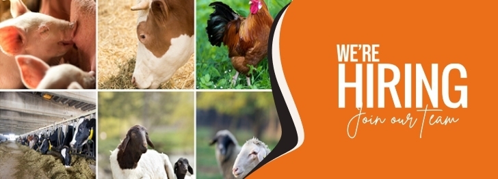 Office Assistant / Office Administrator