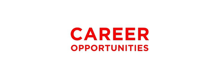 Project Chief Accountant