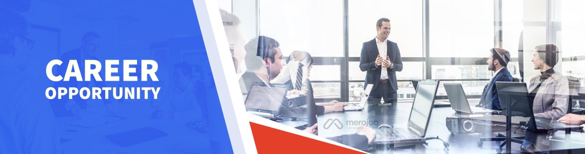 Engineer (Technical career-track employee)