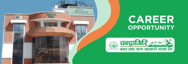 व्यवसाय विकास अधिकृत