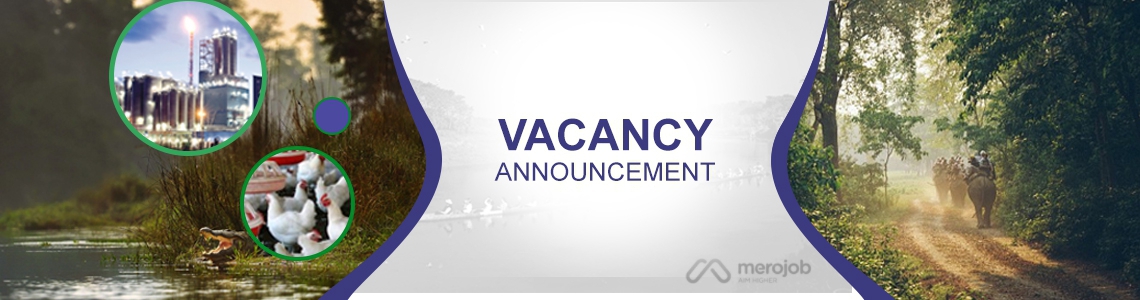 लेखा अधिकृत