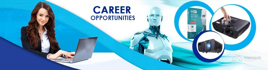 Sales Manager