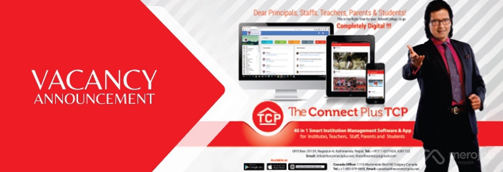 Marketing / IT Officer