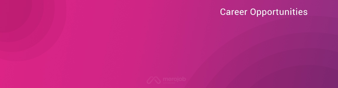 Data Visualization Engineer