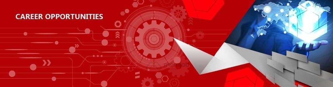 Frontend React Developer