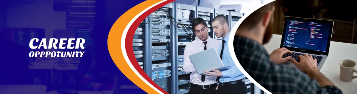 Web Application Developer