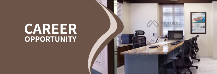 Interior Designer (Project Manager)