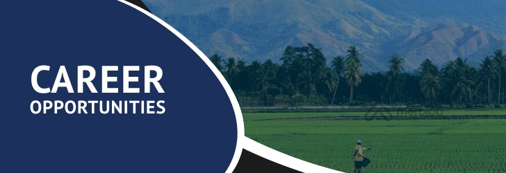 Project Finance Consultant