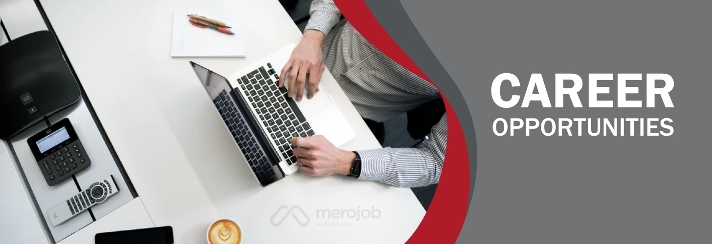 Sales and Marketing Executive