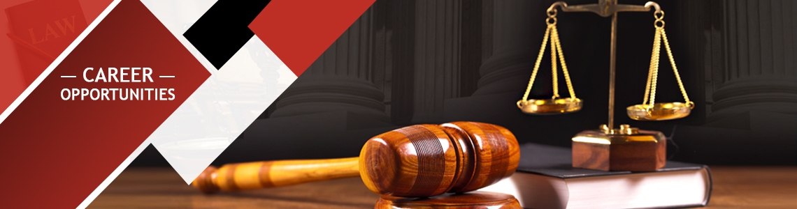 Legal Associate and U.S. Immigration Case Specialist (U.S. Immigration Associate )