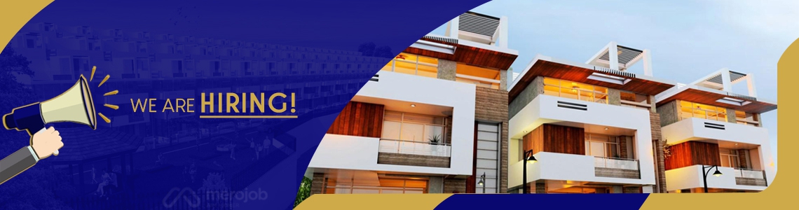 Sales and Marketing Executive