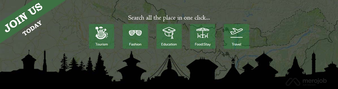 Mobile and Web Developer