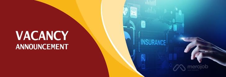 Marketing Officer for Head Office