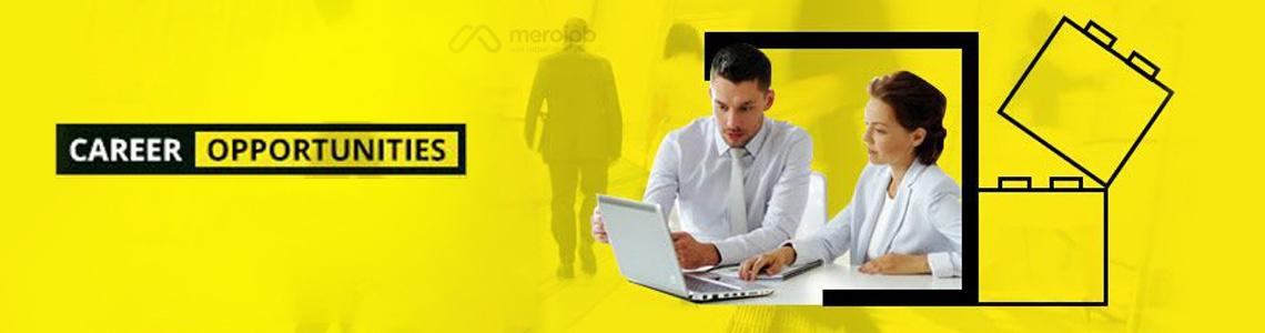 Senior Practice Accountant