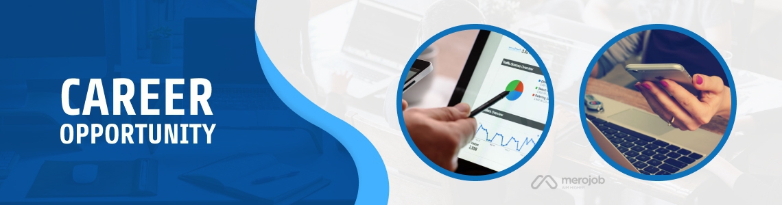 Mobile Application Developer