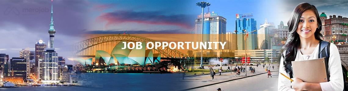 Front Desk Executive(Receptionist)