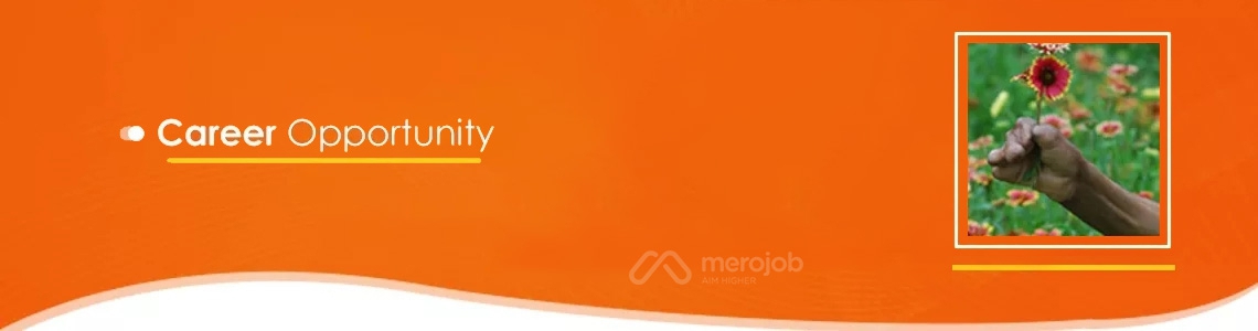 GIS Mapping Supervisor