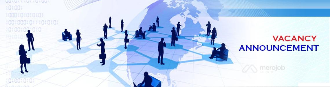 Marketing Assistant