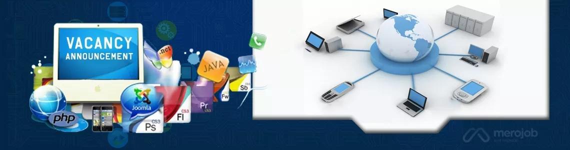 Software Marketing Executive