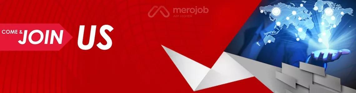 Mid-Level .NET Developer