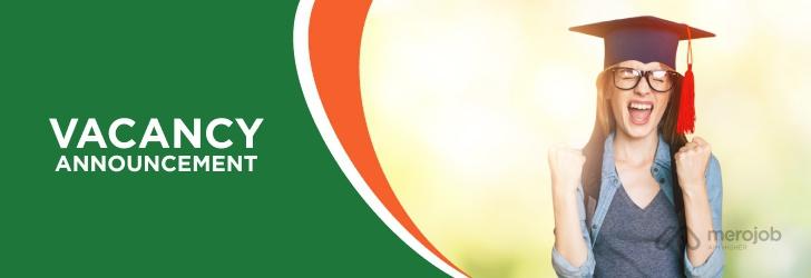 Education Counsellor