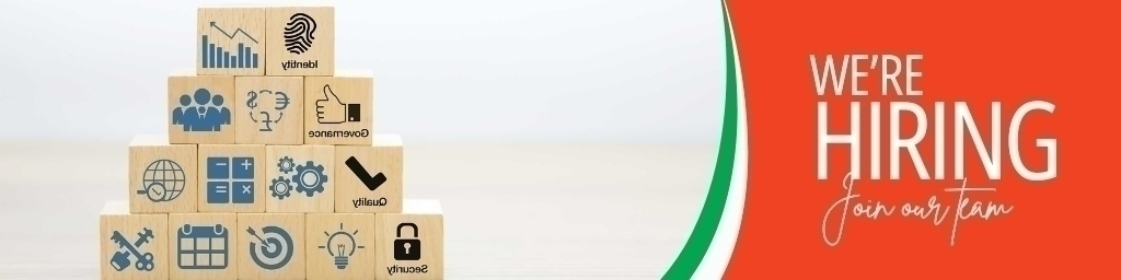 Full-Stack Developer