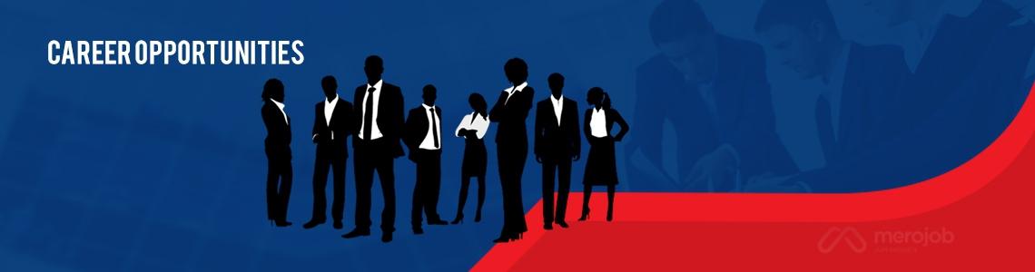 Senior Sales Executive