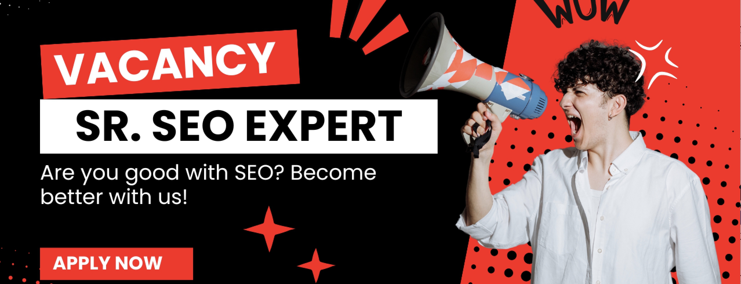 Senior SEO Expert