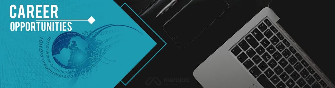 Senior MEAN Stack Developer