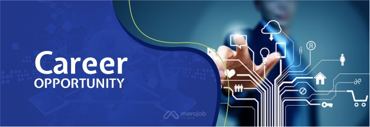 Laravel Application Developer