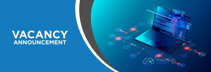 Junior Software Engineer / Developer