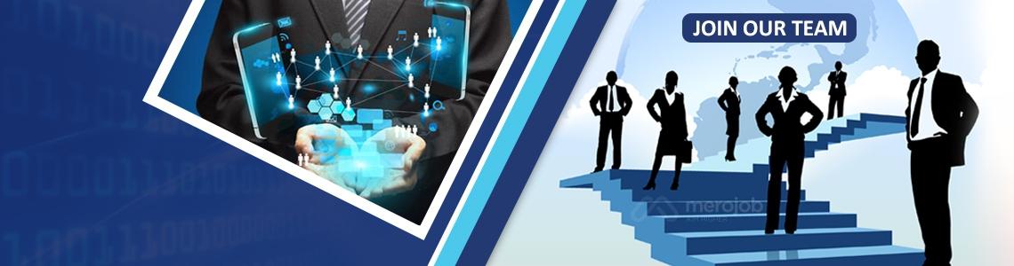 Sales Manager