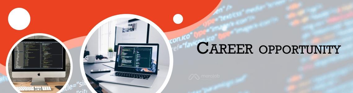 Developer