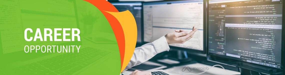 React Developer