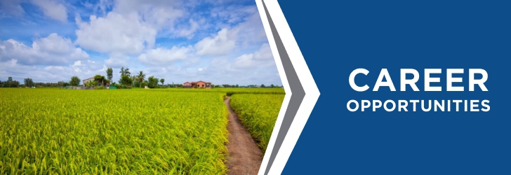 Communications and Outreach Director