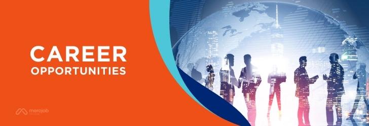 Sales Executive (For UK)