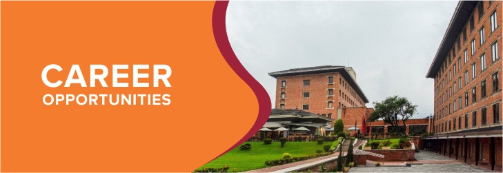 Digital Marketing Executive/Manager