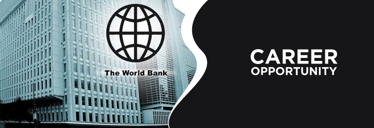 Power Engineer /Short-Term Consultant (STC)