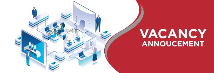 QA Engineer