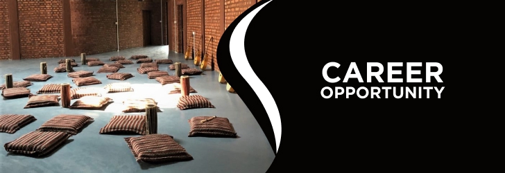 Music Teacher (Modern Instrument)