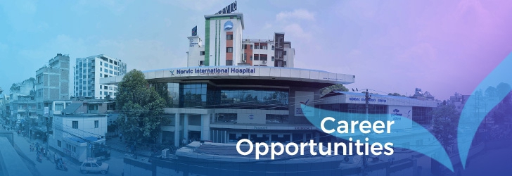 Chief Technology Officer (CTO)