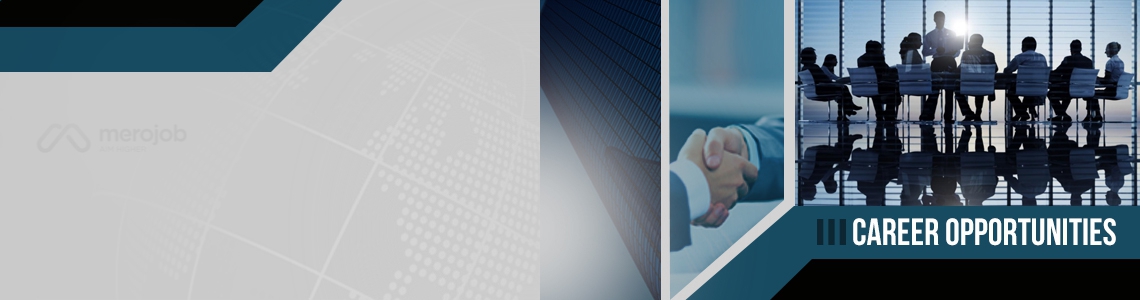 Senior Research Analyst