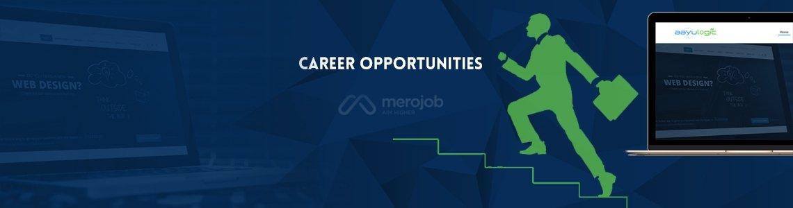 Python/Django Developer