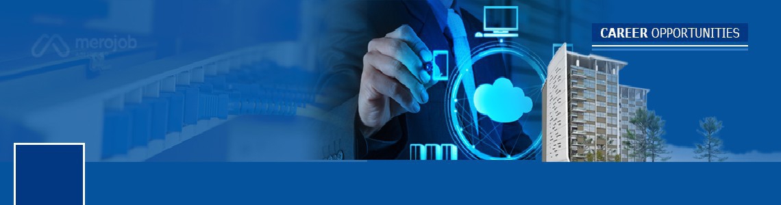 Junior Network/System Engineer