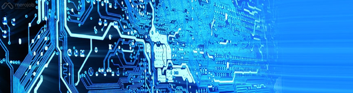 Mobile and Web App Programmer