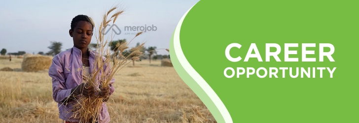 Monitoring, Evaluation and Learning Officer