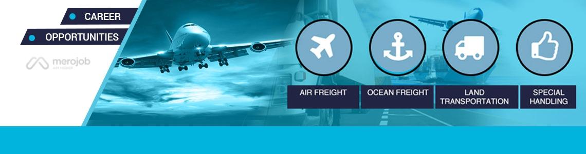 Sales & Marketing Executive